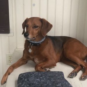 Meet your Posher, Jeff